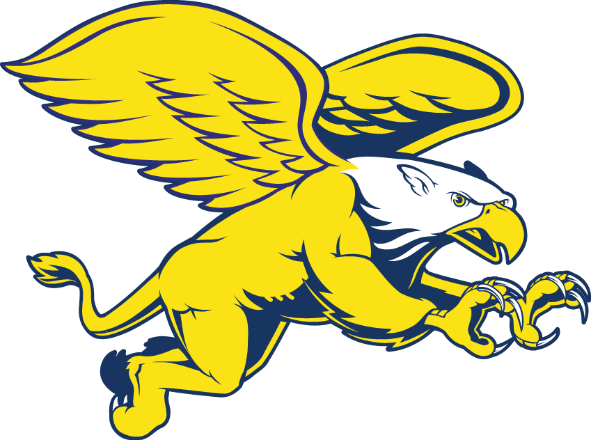 Canisius Golden Griffins 1999-2005 Secondary Logo v2 diy fabric transfer